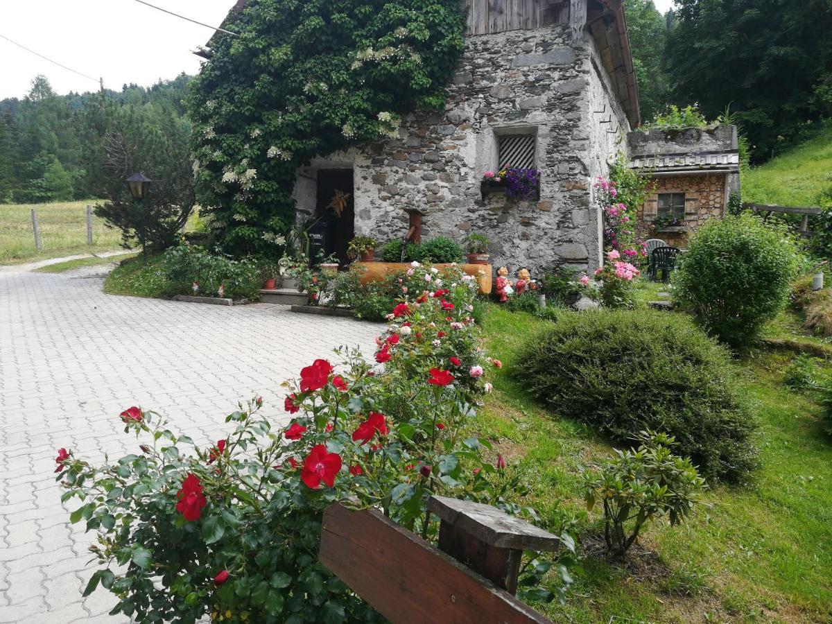 Muehlnerhof Familie Gruber Bed & Breakfast Aich  Ngoại thất bức ảnh
