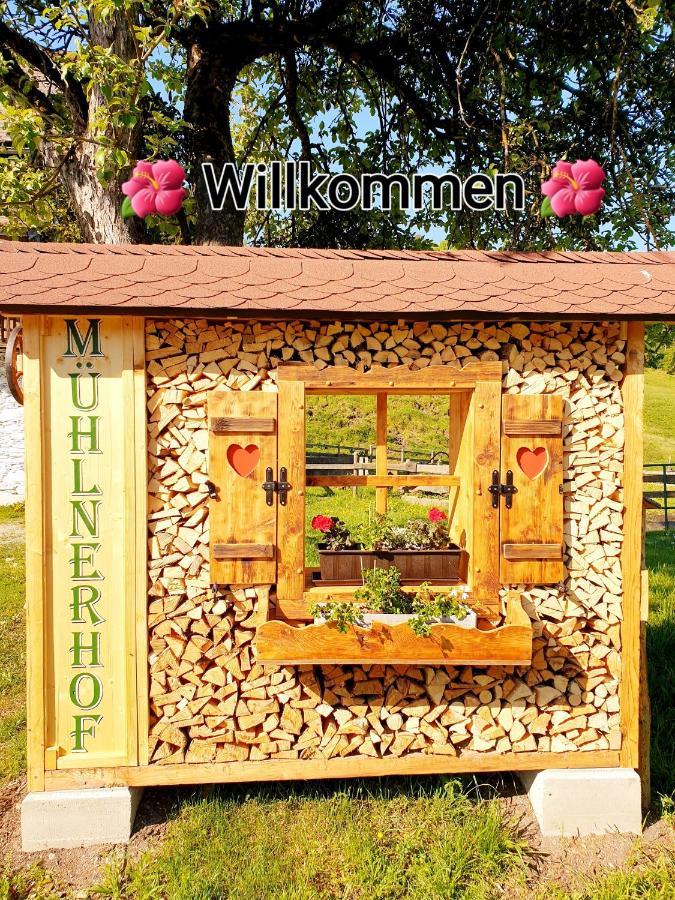 Muehlnerhof Familie Gruber Bed & Breakfast Aich  Ngoại thất bức ảnh